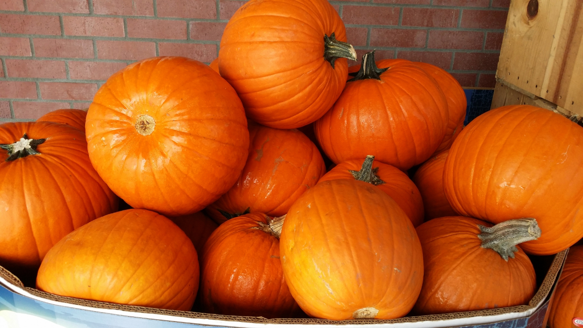 ハロウィンかぼちゃはくりぬく？　くりぬかない？